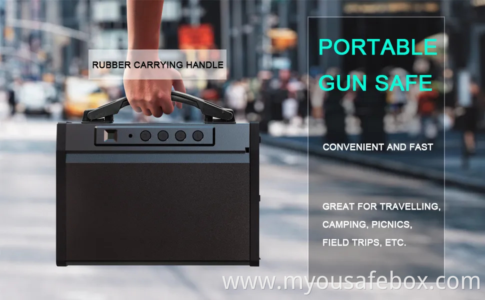 Biometric Gun Safe,Gun Safe for Pistols,Quick-Access Handgun Safe,Two Firearm Capacity with Fingerprint Lock and Key Pad,Gun Lock Box for Home,Nightstand and Ca